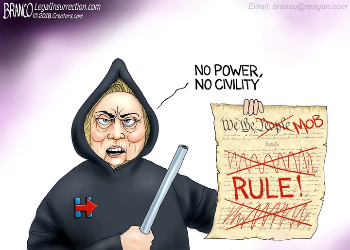 Dems look, shout and storm like a mob