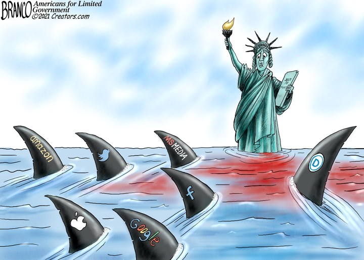 Freedom of association and the Big Tech purge