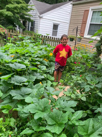  Bonnie's son in his pumpkin patch. Photo credit: Bonnie Jean Feldkamp. 