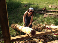  Emily McCafferty debarks a tree. Photo courtesy of Emily McCafferty 