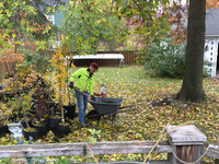  Bill Hanavan tends to his home nursery of potted trees ready for planting. Photo courtesy of Bill Hanavan 