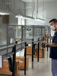 The Louisville Zoo head keeper, Chris Florence, opens the kennel door to a curious black-footed ferret at their conservation center. Photo Credit: Louisville Zoo. 