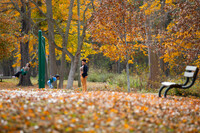  A family plays on the swings at Chickasaw Park. Photo Credit: Olmsted Parks Conservancy. 