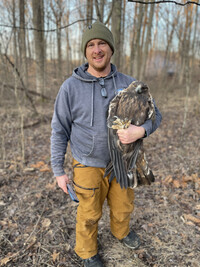  Mike Lanzone holds Gwaihir at Bernheim Forest. Gwaihir was captured for GPS tracking. Photo Credit: Bernheim Forest. 