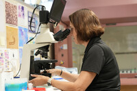  Dr. Linda Penfold assesses Meru's sample under the microscope at the Louisville Zoo. Photo Credit: Louisville Zoo 