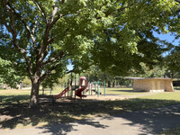 Stansbury Park near the University of Louisville. Photo credit: Bonnie Jean Feldkamp