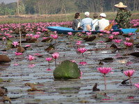 Passengers from the Mekong Explorer enjoy a tranquil boat ride through a lake covered with red lotus flowers. Photo courtesy of Sandra Scott.