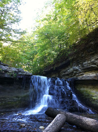  McCormick's Creek State Park offers natural beauty and outdoor fun to visitors who come to Bloomington and Spencer, Ind. Photo courtesy of Lesley Sauls. 