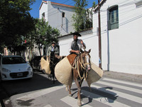  A gaucho enters Salta, Argentina, the old-fashioned way. Photo courtesy of Barbara Selwitz. 