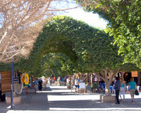 The attractive pedestrian walkway in Loreto, Baja California, Mexico, is lined with shops and restaurants. Photo courtesy of Halina Kubalski.