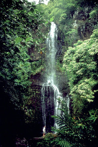  Waterfalls abound along the Hana Highway on Maui in Hawaii. Photo courtesy of Hana Tourism. 