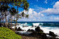 Waves breaking on a black sand beach are visible from the Hana Highway on Maui in Hawaii. Photo courtesy of Hana Tourism. 