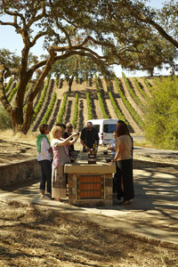 Visitors to the Jordan Vineyard and Winery near Healdsburg in California's Sonoma Valley can enjoy tastings in a shady grove among the vines. Photo courtesy of Jordan Vineyard and Winery.