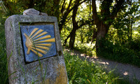  The scallop shell symbol leads modern pilgrims on the Camino Frances in Spain. Photo courtesy of the Tourism Office of Spain. 