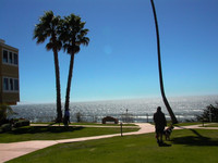  Louie and Lola stroll grassy lawns and savor ocean views at pet-friendly Seacrest Oceanfront Hotel in Pismo Beach, California. Photo courtesy of Athena Lucero. 