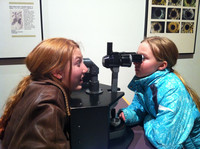  Sisters use a device that lets them look deep into each other's eyes at the Science Museum of Minnesota in St. Paul. Photo courtesy of Lesley Sauls. 