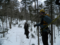  Traversing a sky bridge is part of the fun during a canopy tour in Bretton Woods, New Hampshire. Photo courtesy of Steve Bergsman. 