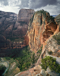  Angels Landing is a spectacular rock formation in Utah's Zion National Park. Photo courtesy of David Pettit. 