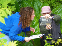 A citizen scientist and a ranger measure the size of fish during a "cruising with purpose" shore excursion in Alaska. Photo courtesy of Sheila Sobell.