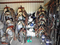  Students at Arizona Cowboy College in Scottsdale learn about the equipment used in riding a horse. Photo courtesy of Victor Block. 