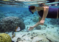  Snorkelers who ply the waters around the Big Island of Hawaii encounter many kinds of beautiful fish. Photo courtesy of www.hansentravel.org. 
