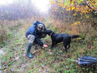 A truffle-hunter and his dog demonstrate how truffles are found near Louvran, Croatia. Photo courtesy of Victor Block. 