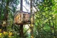 Treehouse Point near Seattle, Washington, gives new meaning to getting away from it all. Photo courtesy of Treehouse Point. 