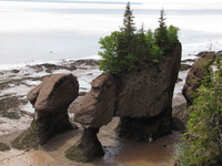 At Hopewell Rocks, New Brunswick, Canada, low tide at the Bay of Fundy exposes unusual rock formations. Photo courtesy of Barbara Selwitz.