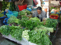  A shore excursion from the RV Mekong Pandow includes a visit to a Vietnamese market. Photo courtesy of Sandra Scott. 