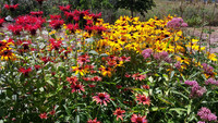 Floral arrangements at the Historic Gardens in Annapolis Royal, Nova Scotia, date back to the 16th century. Photo courtesy of Victor Block.