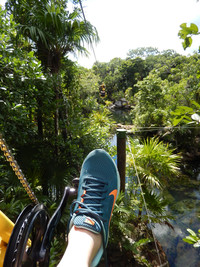  Zip-biking through the treetops is one way to explore nature at Xel-Ha, an archaeological eco-park on Mexico's Riviera Maya. Photo courtesy of Glenda Winders. 