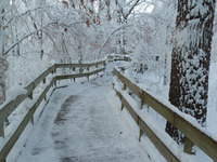 In winter, visitors trade their hiking boots for snowshoes to enjoy Fontenelle Forest Nature Center near Omaha, Neb. Photo courtesy of Fontenelle Forest Nature Center.