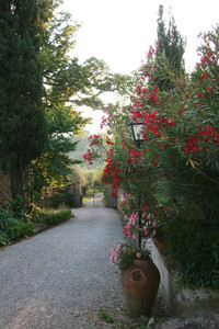  Villa Stabbia combines comfortable accommodation with agritourism and is only an hour from Florence and Pisa. Photo courtesy of Villa Stabbia. 