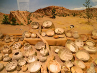 The Geronimo Springs Museum in Truth or Consequences, New Mexico, boasts a large collection of American Indian artifacts as well as other historical items. Photo courtesy of Steve Bergsman.