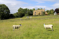 The pace is slow in the village of Broadway in England's picturesque Cotswolds region. Photo courtesy of Norma Meyer.