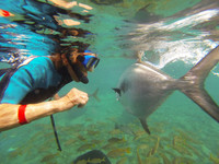It's possible to interact with every variety of sea creature at the Royal Sea Aquarium on the Caribbean island of Curacao. Photo courtesy of Victor Block.