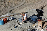  .An archeologist looks for dinosaur remains at Dinosaur National Monument in Utah. Photo courtesy of Victor Block. 