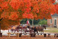  An impersonator driving a horse and carriage is a common sight in Colonial Williamsburg, Virginia. Photo courtesy of Victor Block. 