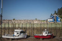  Shown here at low tide, the Bay of Fundy in Nova Scotia, Canada, is famous for having the highest tides in the world. Photo courtesy of Scott Munn. 