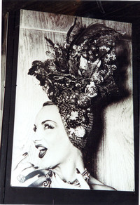  A film poster shows Carmen Miranda's magnetic personality. Photo courtesy of Sharon Whitley Larsen. 