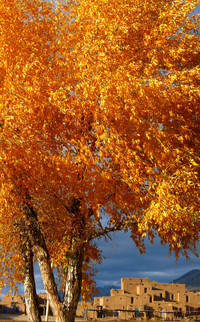  Taos, New Mexico, is renowned for the beauty of its native pueblo. Photo courtesy of Jim Farber. 