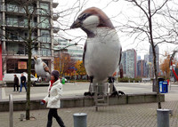  . At the former 2010 Olympic Village in Victoria, British Columbia, "The Birds" sculpture by renowned artist Myfanwy MacLeod is a tribute to biodiversity and film director Alfred Hitchcock. Photo courtesy of Athena Lucero. 
