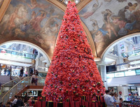  A cheerful Christmas tree decorates the Galerias Pacifico shopping center in Buenos Aires, Argentina. Photo courtesy of Patricia Arrigoni. 
