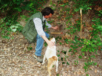  Truffle-hunter Giovanni and his canine companion look for truffles in Alba, Italy. Photo courtesy of Victor Block. 
