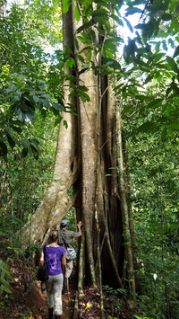 Hiking through the jungle is one of the greatest pleasures of visiting Costa Rica. Photo courtesy of Jim Farber.