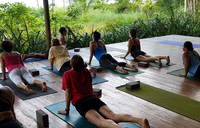  Guests at the Iguana Lodge in Puerto Jimenez, Costa Rica, attend a yoga class in the jungle. Photo courtesy of Jim Farber. 