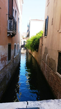  Canals in Venice provide all kinds of transportation &#8212; from fire trucks to taxis. Photo courtesy of Fyllis Hockman. 