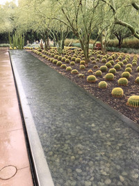  The extensive gardens at the Sunnylands estate in Palm Springs, California, are reminiscent of Monet's garden in Giverny, France. Photo courtesy of Karen Kenyon. 