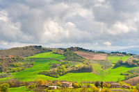  Umbria's olive groves produce some of the finest oil in all of Italy. Photo courtesy of Gkuna/Dreamstime.com. 