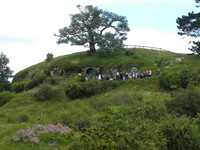  Visitors tour the home of Bilbo Baggins with the man-made tree behind it on the Hobbiton Movie Set in Matamata, New Zealand. Photo courtesy of Bill Neely. 